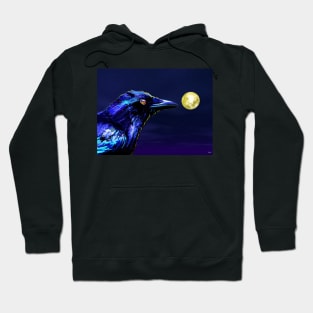 Crow Hoodie